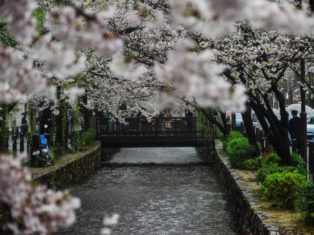 Sumitei Kiyomizu Gojo Hotel - Kyoto, Kyoto